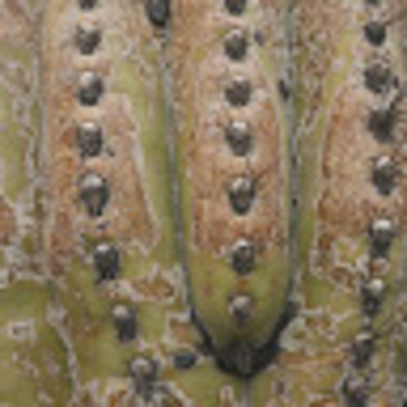 Meet your Posher, Becca - Picture 1 of 1